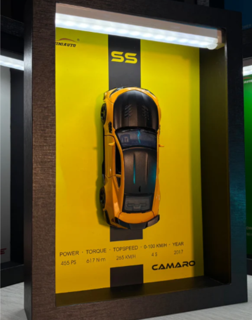 SpeedFrames Cuadro 3D